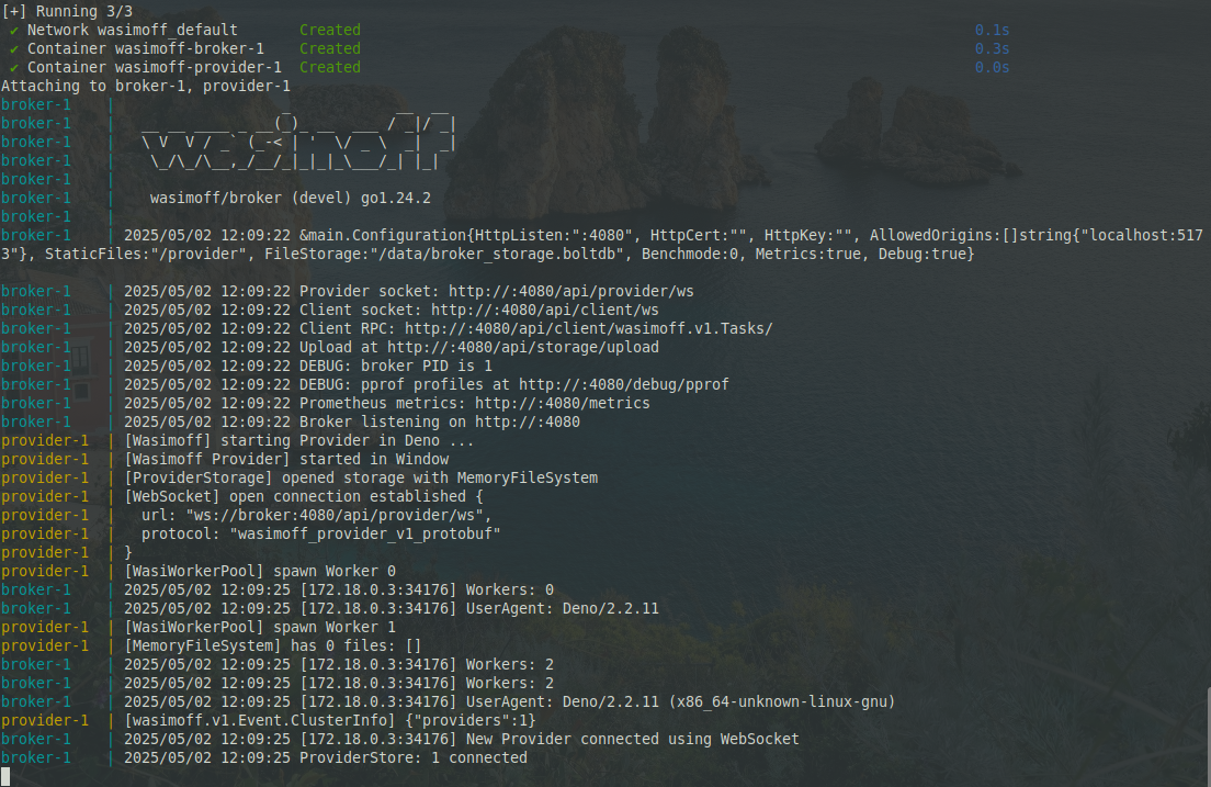 image of Wasimoff running
